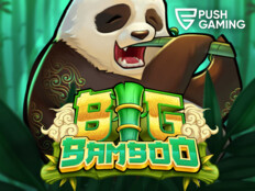 Casino slot games with bonus rounds97